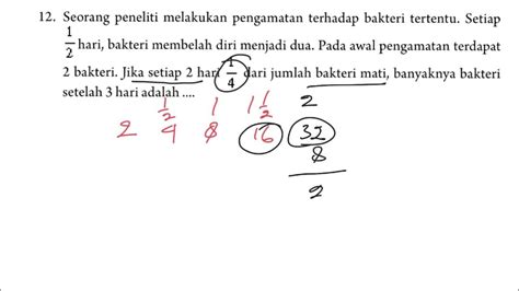 Un Sma 2019 Seorang Peneliti Melakukan Pengamatan Terhadap Bakteri