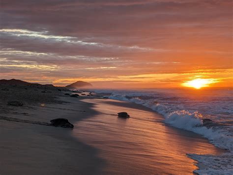 Morro Ayuta Beach Tartarukus