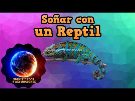 Descubre El Significado Espiritual Profundo De So Ar Con Reptiles Gu A