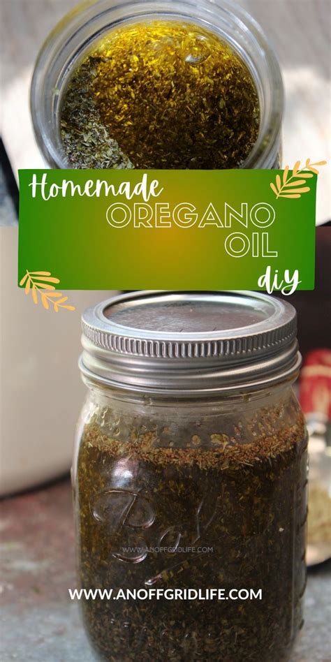 How To Make Oil Of Oregano At Home Artofit