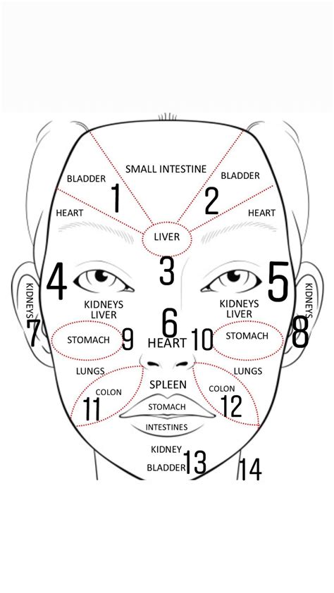 Chinese Face Mapping What Your Organs May Be Trying To Tell You