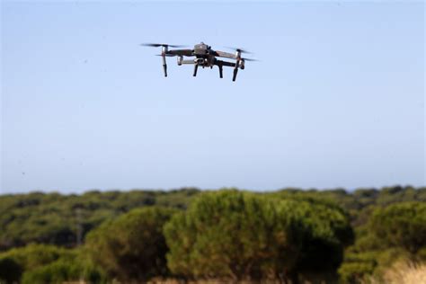 Cartaya Vigila Su Pinar Y Litoral Con Drones Para Prevenir Incendios