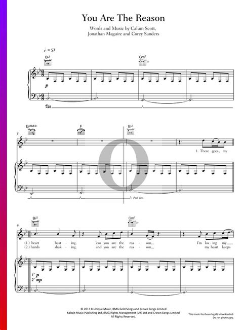 You Are The Reason Calum Scott Piano Sheet Music OKTAV