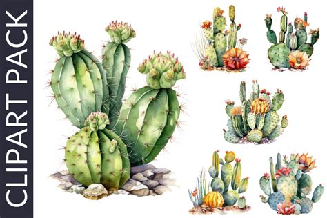 Desert Cactus Watercolor Western Clipart Graphic By Esch Creative