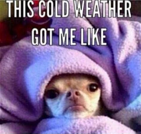 25 Cute Cold Weather Quotes Cold Weather Memes Funny Weather Cold