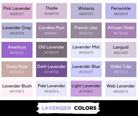 Lavender Color Its Shades Meaning And Symbolism Hex Code