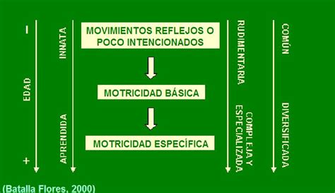 Cuidado Infantil Y Desarrollo Motriz Evolución De Las Habilidades Motrices