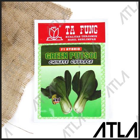 Jual Benih Sawi Daging Pakcoy Pak Choi Choy Green Putsoi F Hybrida