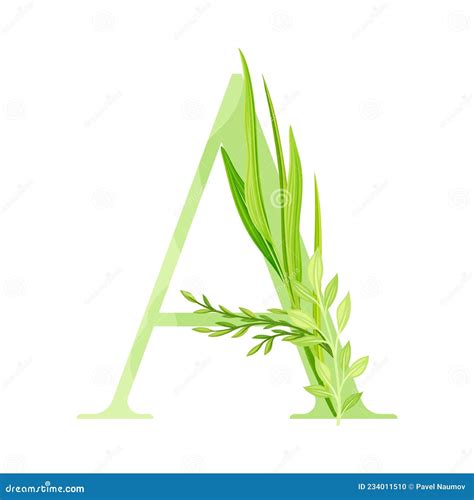 Alphabet Letter A Decorated With Green Foliage And Leaf Vector