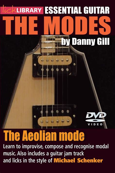 Lick Library Essential Guitar The Aeolian Mode Style Michael Schenker Dvd Lesson Ebay