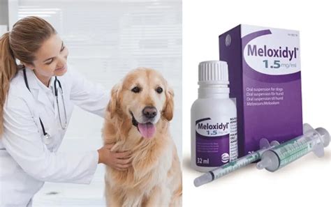 Meloxidyl For Dogs Dosage Chart By Weight Calculator Dogs Or