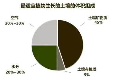 土壤肥力”到底是什么？提高肥力提高的什么？