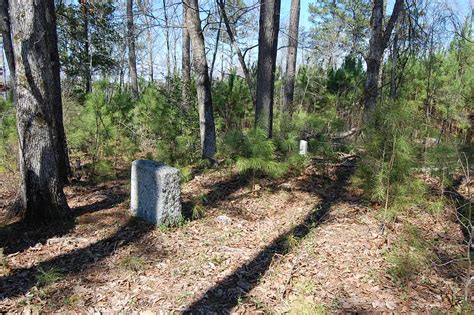 Boss Livsey Family Cemetery dans Georgia Cimetière Find a Grave