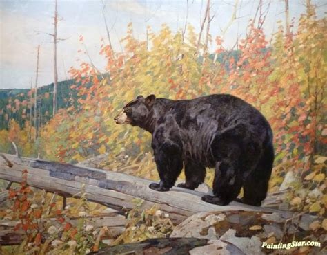 Black Bear Artwork