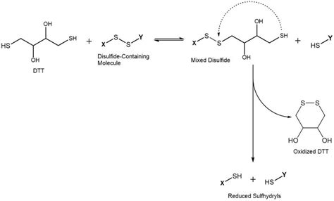 Dl Dithiothreitol Dtt As Key Element In Diagnostics