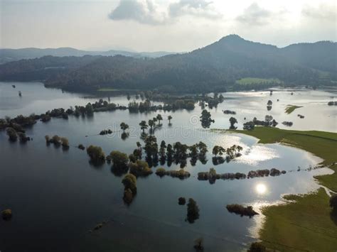 Flooded Valley Green Fields and Trees Forest Stock Image - Image of ...