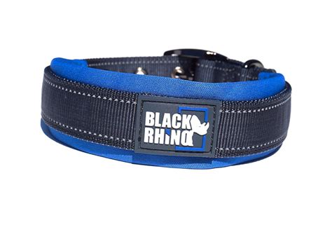 The 11 Best Dog Collars You Can Order Today Purewow