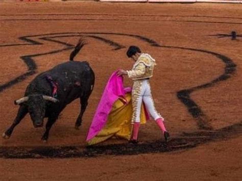 Diario Del Yaqui Jueza Ordena Suspender De Nuevo Corridas De Toros En