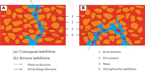 Frontiers Differences In Imbibition Efficiency Between Bedding And