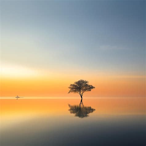 Premium Ai Image A Lone Tree Is Reflected In The Water With A Sky In