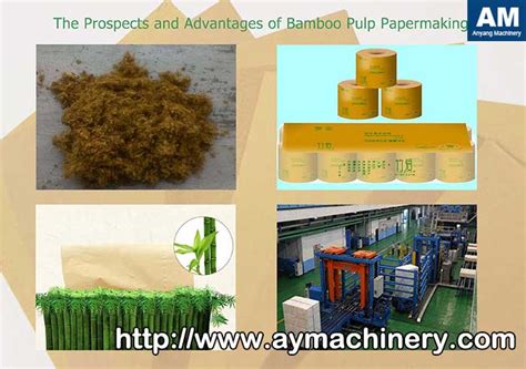 The Prospects And Advantages Of Bamboo Paper Pulp Manufacturing