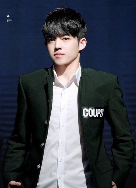 Pin By May Frias On Svt Seventeen Scoups Seventeen Leader Seventeen