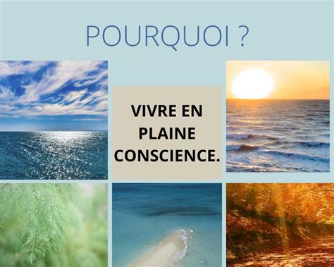 Plaine CONSCIENCE