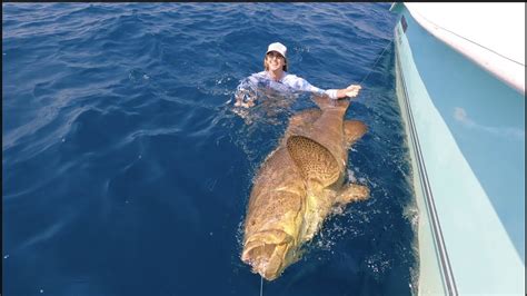 Giant Goliath Grouper Fishing Challenge 1v1 Mini Rod Yellowtail