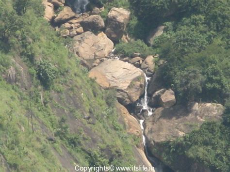 Catherine Falls Kotagiri | Waterfalls Tamil Nadu | Sightseeing Coonoor