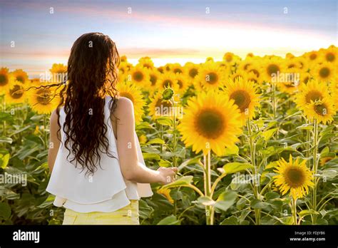 Young Woman Standing In Sunflower Field Stock Photo Alamy