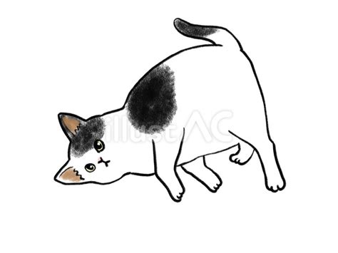 変なポーズの猫 ぶちイラスト No 25086460｜無料イラスト・フリー素材なら「イラストac」