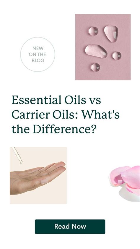 Difference Between Essential Oils Vs Carrier Oils Essential Oil