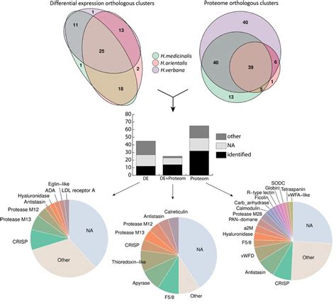 Summary Of The Identified Scs Components The Venn Diagrams In The