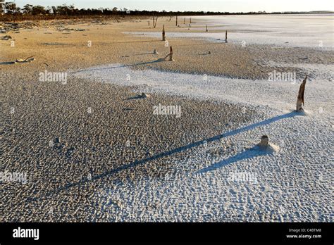 Deleted hi-res stock photography and images - Alamy