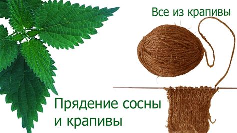 Прядение сосны и крапивы. Пряжа из крапивы. Крапивные изделия. Все из ...