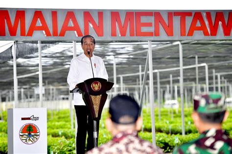 Foto Presiden Jokowi Resmikan Persemaian Mentawir Untuk Rehabilitasi