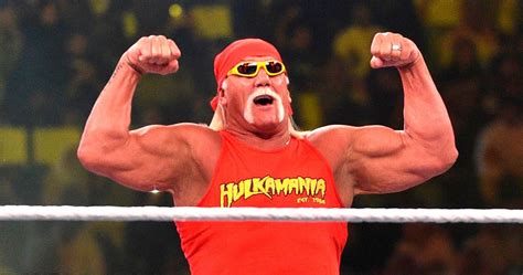 Hulk Hogans 10 Best Rivalries
