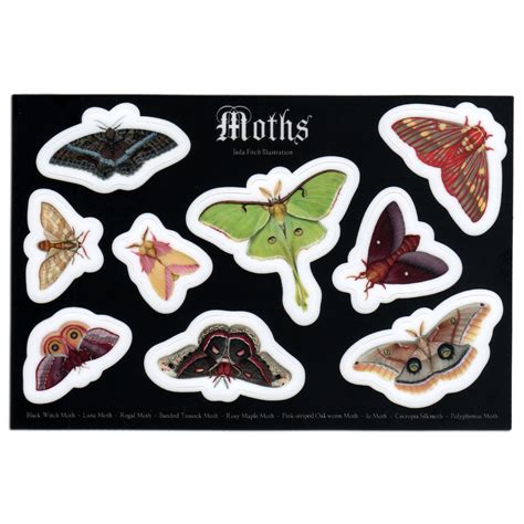 Moths Vinyl Sticker Sheet X Etsy