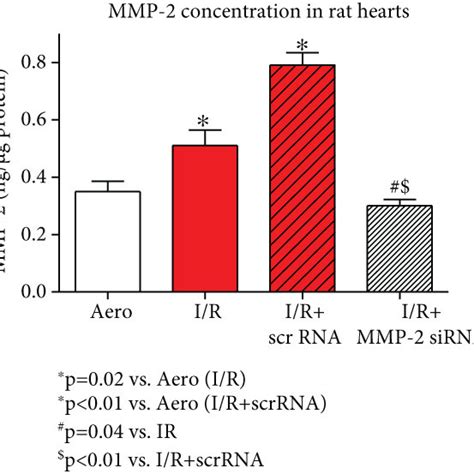 Mmp 2 Gene Expression A Concentration B And Activity C In Heart Download Scientific