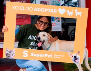 Jornada De Adopciones