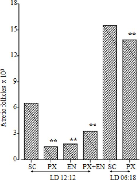 Figure From Significance Of Retinal And The Pineal Photoreceptors In