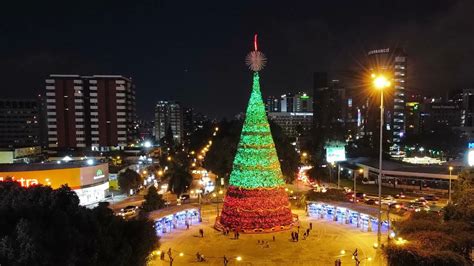 Arbol Navide O Gallo El Mas Grande En Ciudad De Guatemala