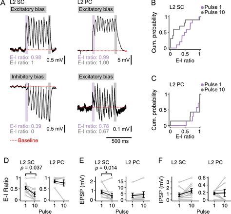 Figures And Data In Fan Cells In Lateral Entorhinal Cortex Directly