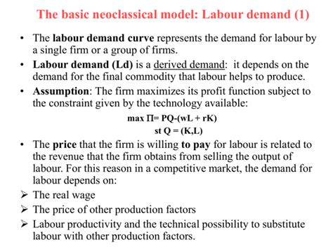 The Basic Neoclassical Model Labour Demand