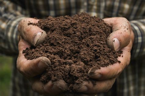 Salute Del Suolo Il Ruolo Di Agricoltori E Tecnici Chiamati A