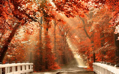 Autumn Anime Scenery Wallpapers - Wallpaper Cave