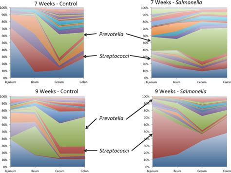 Comparison Mean Of The Group Of The Tissue Jejunum Ileum Cecum Download Scientific