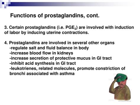 Ppt Prostaglandins Synthesis Functions And Inhibitors Powerpoint