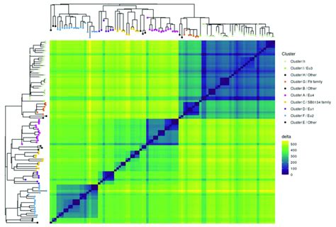 M Bovis Isolates Separated Into Clusters The Heatmap Illustrates