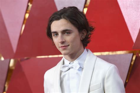 4 Things You Should Know About Timothée Chalamet Young Hollywood